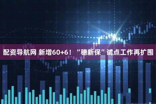 配资导航网 新增60+6！“穗新保”试点工作再扩围