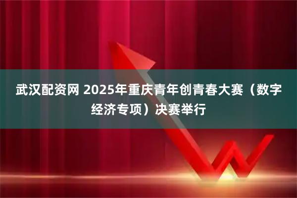 武汉配资网 2025年重庆青年创青春大赛（数字经济专项）决赛举行