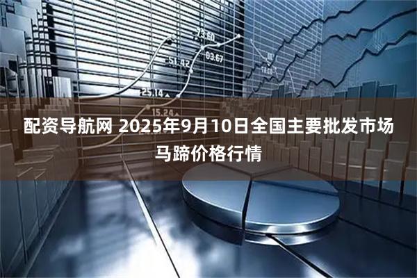 配资导航网 2025年9月10日全国主要批发市场马蹄价格行情