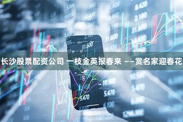 长沙股票配资公司 一枝金英报春来 ——赏名家迎春花